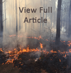 Wildfire Article